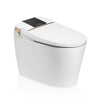 Luxusbadezimmer-Sensor-elektrisches automatisches ebenes WC-Bidet-intelligente intelligente Toilette