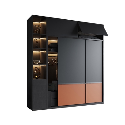 Schiebetür-Schrank des Schlafzimmer-3