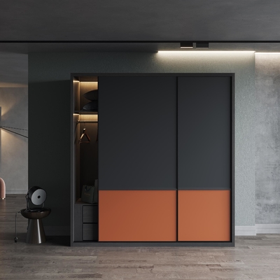 Schiebetür-Schrank des Schlafzimmer-3